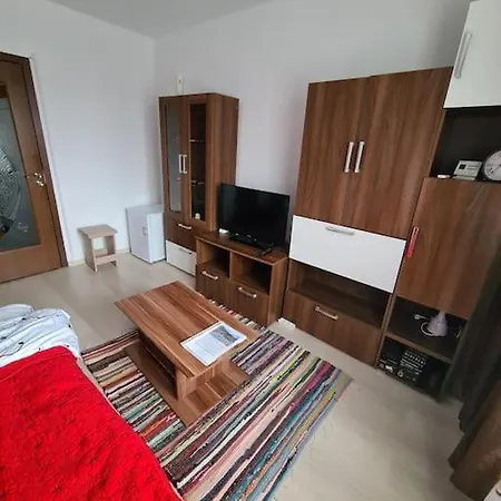 Apartament Garsoniera In